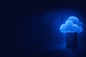 Web Hosting ve VDS Farkları: Hangisini Tercih Etmelisiniz?