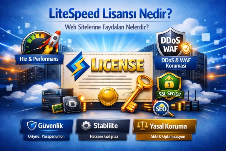 LiteSpeed Lisansı Nedir