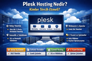 Plesk Hosting Nedir? Kimler Tercih Etmeli?