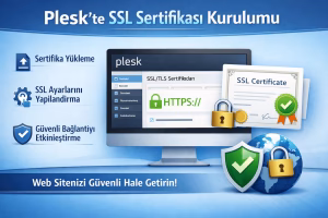 Plesk’te SSL Sertifikası Nasıl Kurulur?