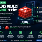 Redis Object Cache Nedir