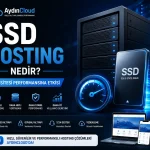 SSD Hosting Nedir