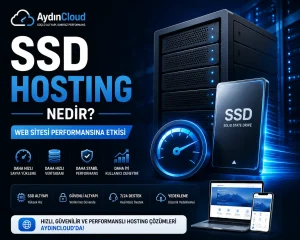 SSD Hosting Nedir? Web Sitesi Performansına Etkisi