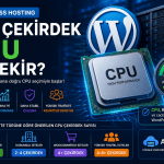 Wordpress Hosting Cpu