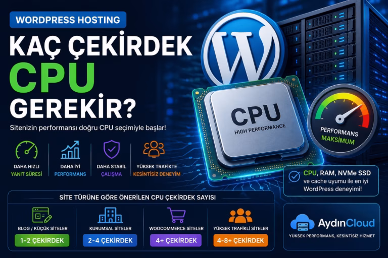 Wordpress Hosting Cpu