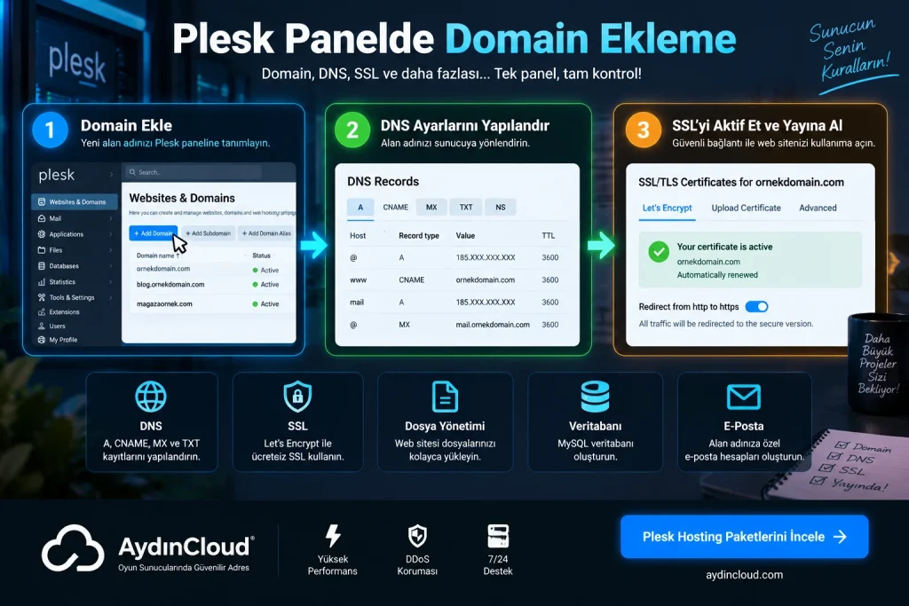 Plesk domain DNS ve SSL yapılandırması