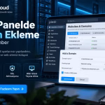 Plesk Panelde Domain Ekleme: Adım Adım 2026 Rehberi